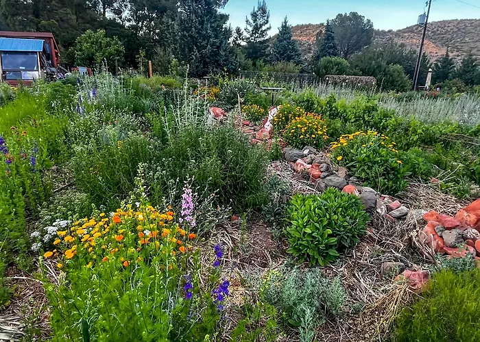 Holiday home Group Retreat On Flower Farm Near Sedona Trails